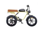 Engwe E-Bike M1 250W 48V 15.6Ah