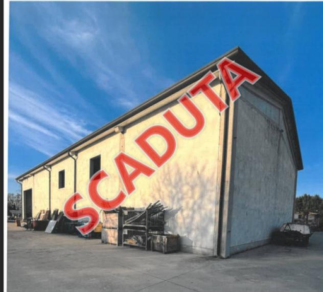 Immobile in asta di 300 m² con più di 5 locali in vendita a Santa Maria di Sala