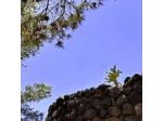 Relais Euterpini S.r.l.