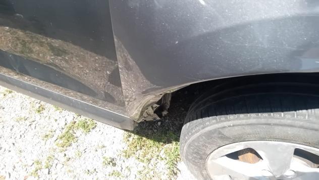 Nissan Qashqai 1.5 dCi Acenta SINISTRATO - Foto 10