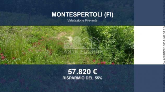 Immobile in asta di 21514 m² in vendita a Montespertoli
