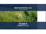 Immobile in asta di 21514 m² in vendita a Montespertoli