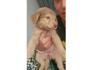 CRISSY: 3 mesi taglia contenuta