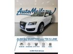 Audi Q5 2.0 TDI 170 CV quattro S tronic Advanced