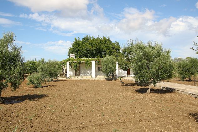 Fabbricato rurale - Foto 6