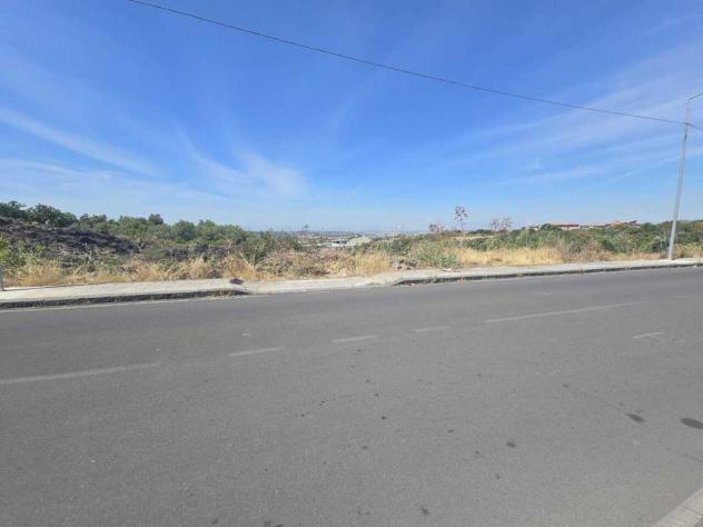 Uliveto in vendita a Camporotondo Etneo - Foto 4