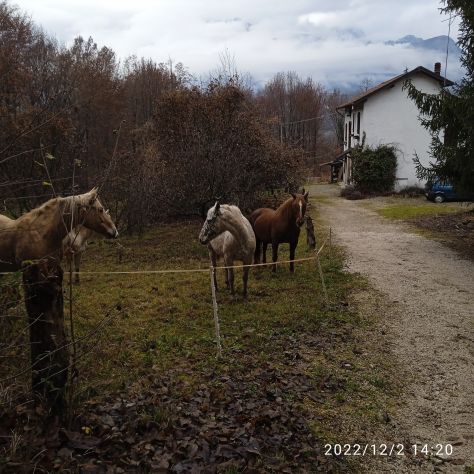 Casa in campagna con molto terreno