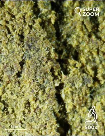 Pollen 00 - Foto 3