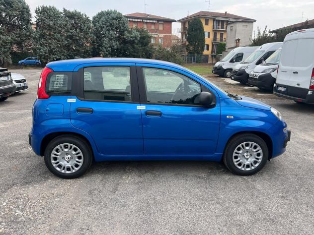 FIAT Pandina Pandina 1.0 firefly hybrid Icon s&s 65cv - Foto 5