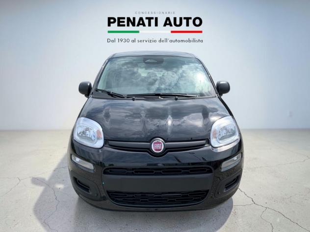 FIAT Pandina 1.0 FireFly 65cv S&S 6m Hybrid Icon - Foto 4