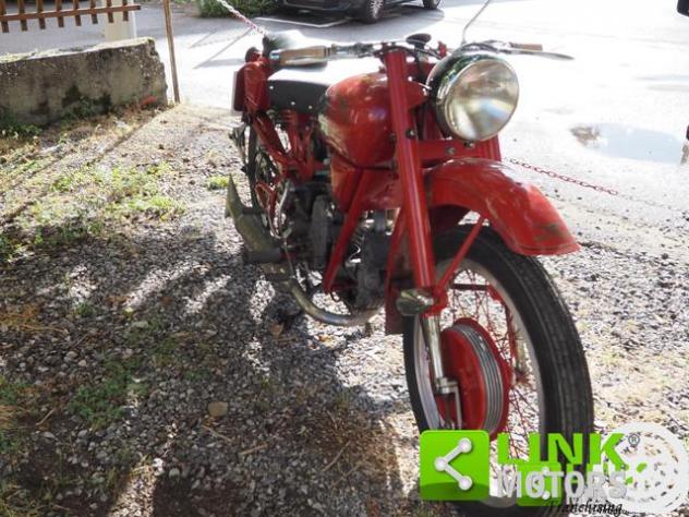 MOTO GUZZI Airone 250 SPORT DEL 1956 rif. 23787078 - Foto 6