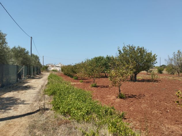 Terreno agricolo in vendita a Casarano 12.000 mq - Foto 10