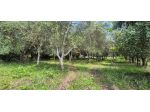 Terreno agricolo in vendita a Titignano - Cascina 2230 mq  Rif: 1413652