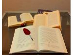 Assistenza privata per la realizzazione di tesi di laurea