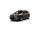 Subaru E-Outback 74,7 kWh 4E-xperience AWD CON 10.000KM DI RICARICA GRATUITA