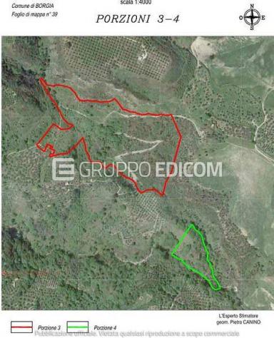 Terreno di 8570 mq in vendita a Borgia - Rif. 4555726 - Foto 3