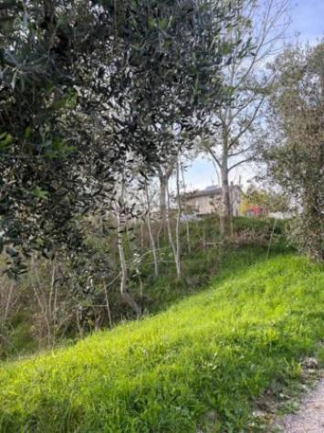 Immobile in asta di 5489 m² in vendita a Terre Roveresche - Foto 3