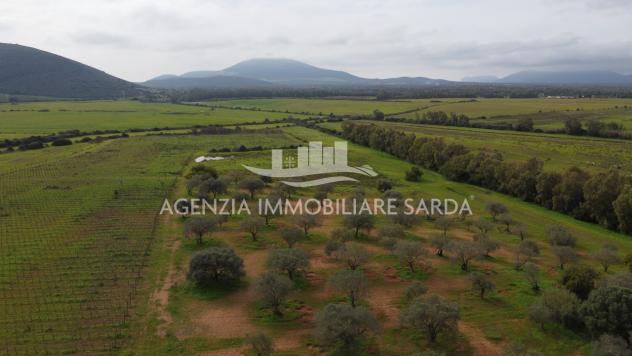 Terreno edificabile in vendita a Alghero - Foto 3