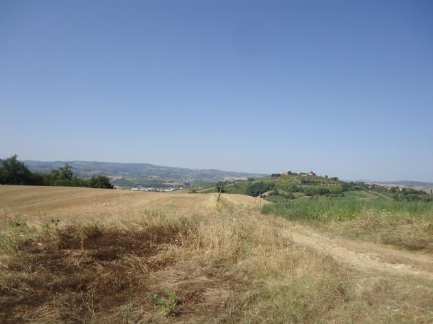 COLONICA di 2500 mq (CASTELFIORENTINO) rif. C 191 - Foto 2