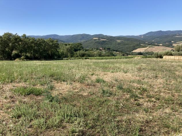 Casale in vendita a Montescudaio - Foto 9