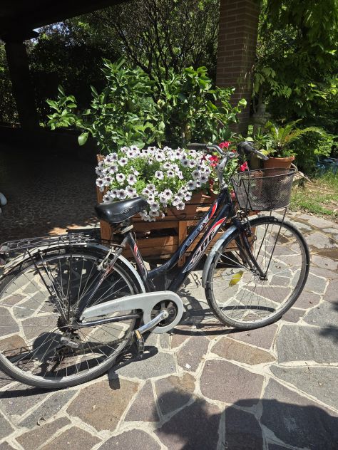 BICICLETTA CITY BIKE