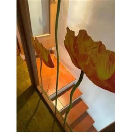 Immobile in asta di 209 m² in vendita a Mormanno - Foto 2