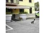 Avianresidenze Suites