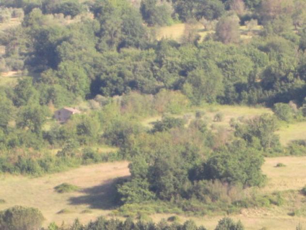 Casa di campagna in Località Penna-Molino - Foto 17
