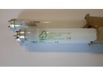 Tre neon nuovi