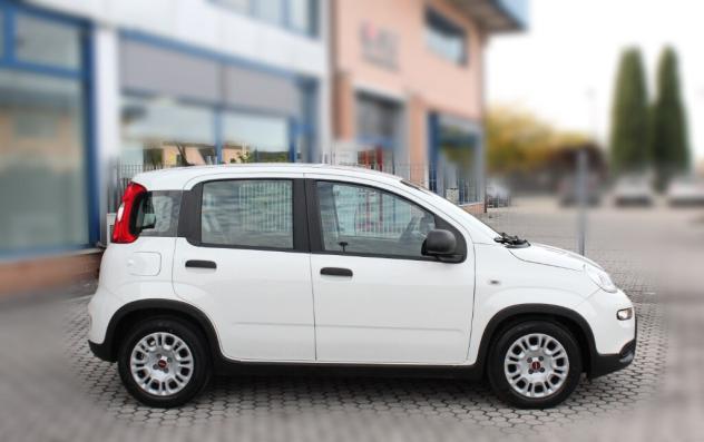 FIAT Panda 3ª serie Panda 1.0 FireFly S&S Hybrid - Foto 3