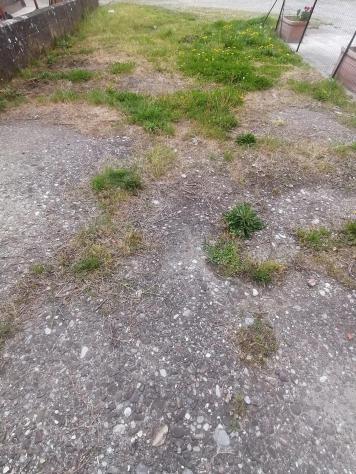 Fienile in vendita a Lunata - Capannori 120 mq Rif: 1385942 - Foto 3