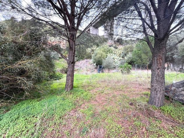Prato in vendita a Maracalagonis - Foto 3