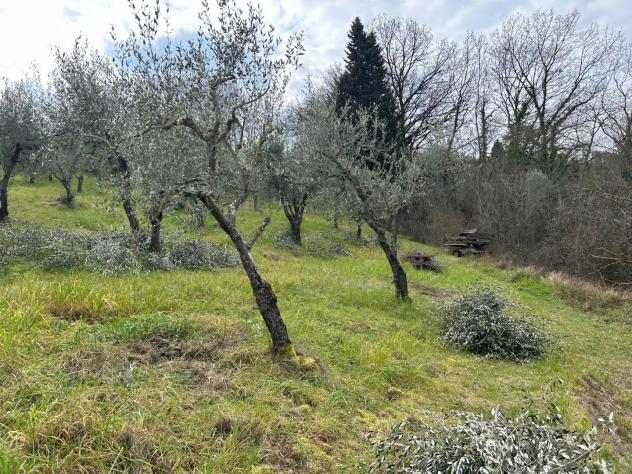 Terreno agricolo in vendita a Corniola - Empoli 20000 mq Rif: 1099670 - Foto 4