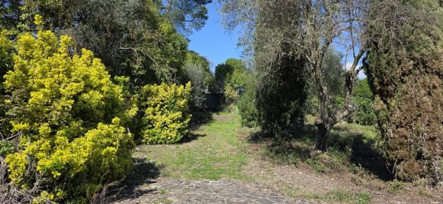 Uliveto in vendita a Morlupo - Foto 8