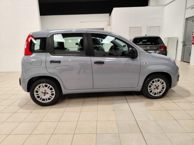 FIAT Panda 1.0 FireFly S&S Hybrid rif. 21813189 - Foto 4