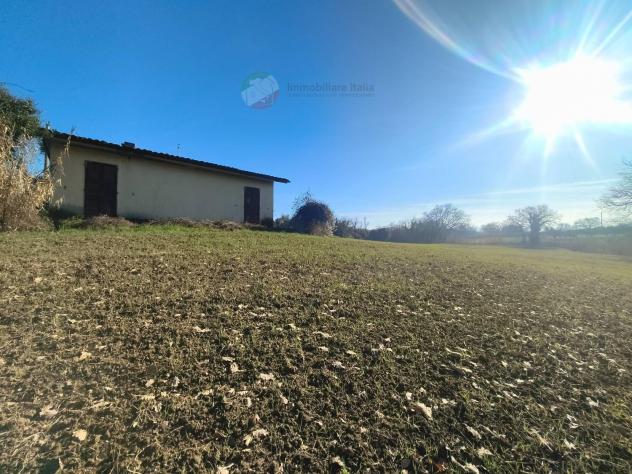 Magazzino - Misano Adriatico . Rif.: C 110.1 - Foto 9