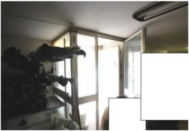 Immobile in asta di 70 m² in vendita a San Mauro Pascoli - Foto 12