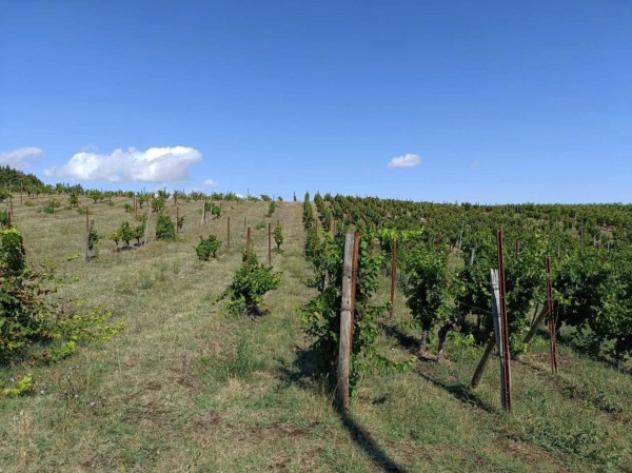 Immobile in asta di 162 m² in vendita a Rapolla - Foto 3