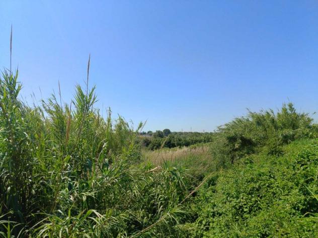 Seminativo in vendita a Cerveteri - Foto 7