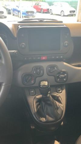 FIAT Panda 1.0 FireFly S&S Hybrid City Life rif. 23917356 - Foto 10