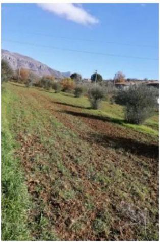 Immobile in asta di 361 m² in vendita a Castrovillari - Foto 14