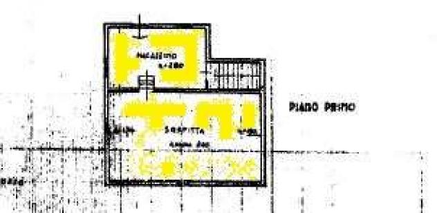 Capann mont 320 - Capannone a Montecarlo - Foto 12