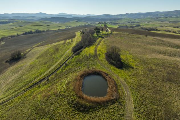 Casale in vendita a Volterra - Foto 2