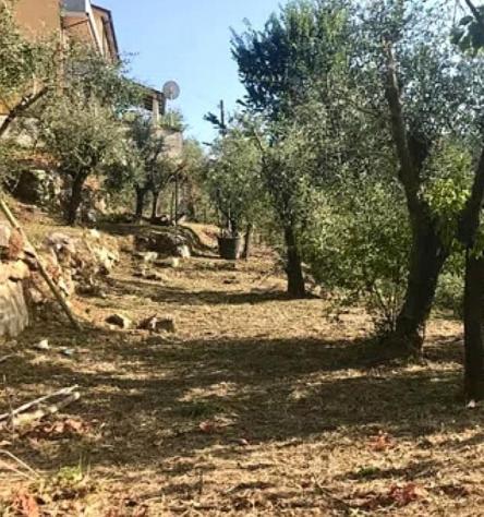 Villa in vendita a Carrara 140 mq Rif: 1333968 - Foto 6