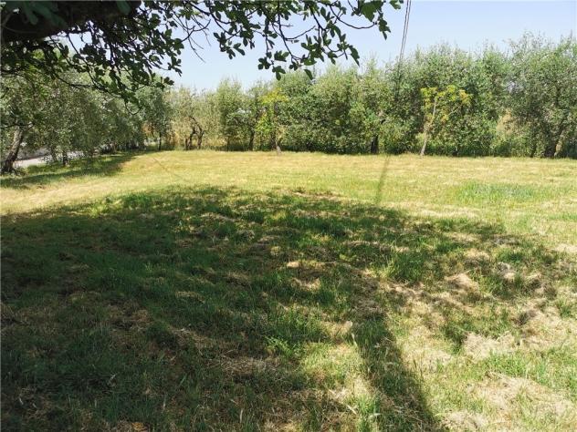 Terratetto in vendita a Isola - San Miniato 480 mq Rif: 1277471