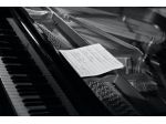 Pianista offresi a Torino per eventi raffinati