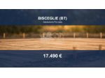 Immobile in asta di 5 m² in vendita a Bisceglie
