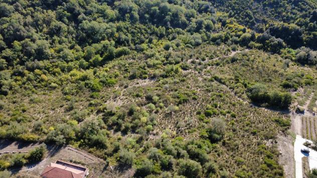 Agricolo in Via Piano Grande - Foto 7