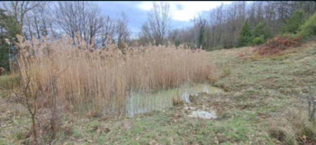 Immobile in asta di 195140 m² in vendita a Piancastagnaio - Foto 3