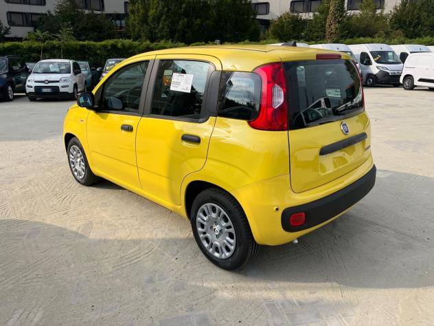 FIAT Pandina Pandina 1.0 firefly hybrid Icon s&s 65cv - Foto 9
